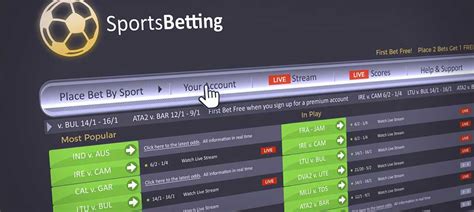 sportsbook software